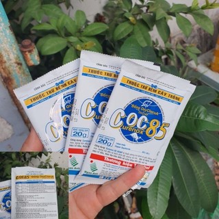 CoC 85 phòng trừ nấm bệnh cho sen đá và xương rồng có sẵn tại vườn Mầm Nắng Garden  lỗi 1 đền 1