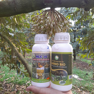 Combo hlc 16 và amino bio chai 500ml phân bón lá cao cấp giúp bật chồi vọt đọt mập cơi xanh dày lá