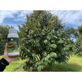 Combo hlc 16 và amino bio chai 500ml phân bón lá cao cấp giúp bật chồi vọt đọt mập cơi xanh dày lá
