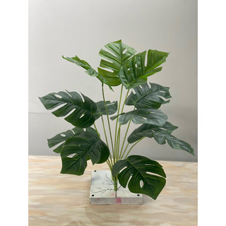 Cây Lá Rùa / Lá trầu bà rách / Monstera Trang Trí 30cm 55cm 76cm - Cây giả decor
