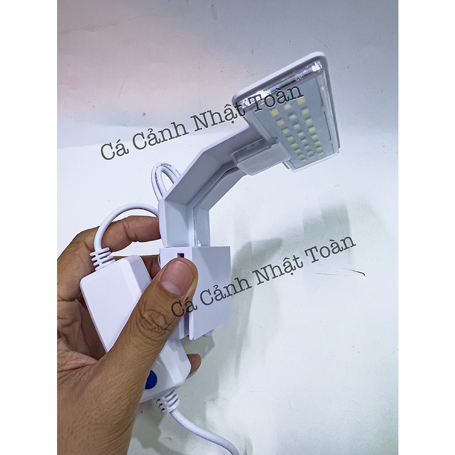 ĐÈN LED KẸP MINI CHO BỂ CÁ CẢNH KAOKUI X3 (3 CHẾ ĐỘ MÀU)