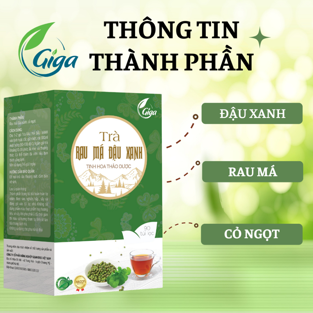Trà túi lọc rau má đậu xanh GIGA bổ thận, thải độc mát gan - Hộp 90 gói