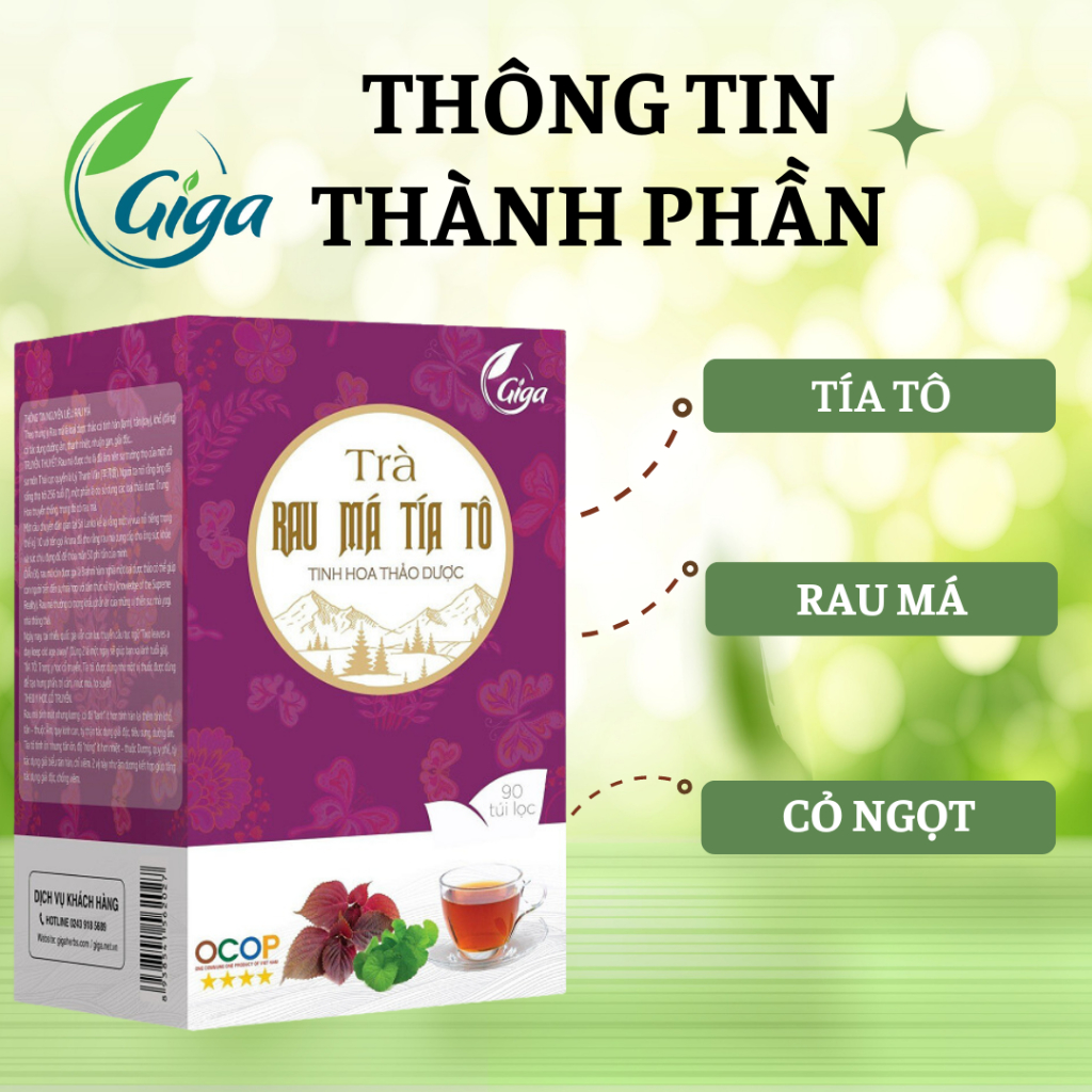 Trà Túi Lọc Rau Má Tía Tô GIGAHERBS - Giúp Thanh Nhiệt Giải Độc Mát Gan Hộp 90 gói