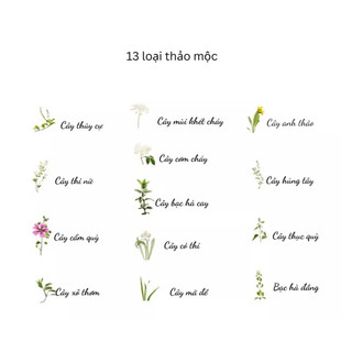Kẹo Ngậm Thảo Mộc Ricola Đức 250g