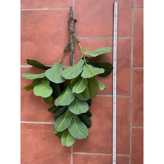 Cây bàng Singapore thân cổ 3 nhánh lá cao 1m ( Không kèm chậu )-Cây giả decor