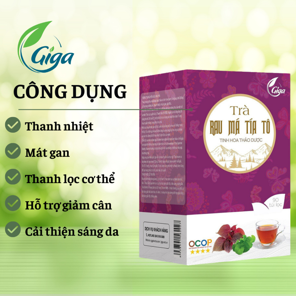 Trà Túi Lọc Rau Má Tía Tô GIGAHERBS - Giúp Thanh Nhiệt Giải Độc Mát Gan Hộp 90 gói