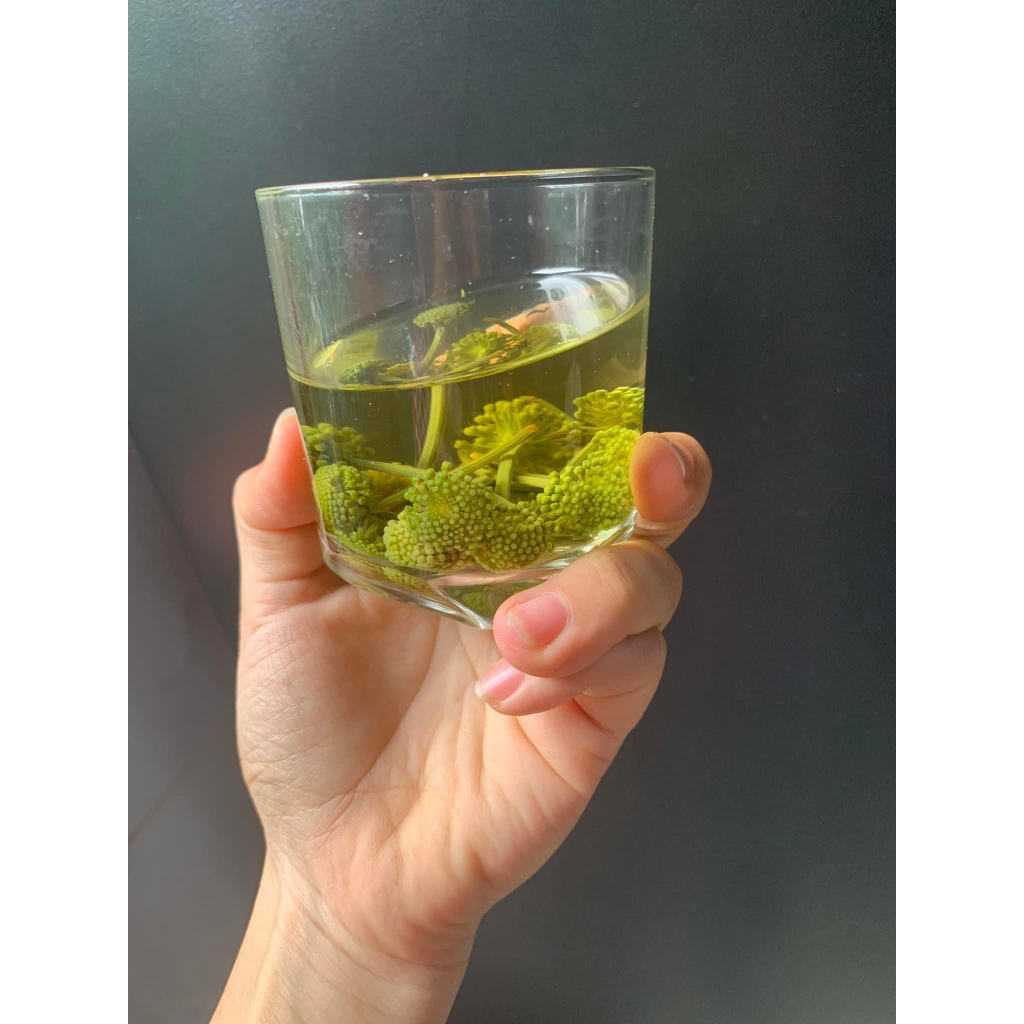 Nụ Hoa Tam Thất 100gr