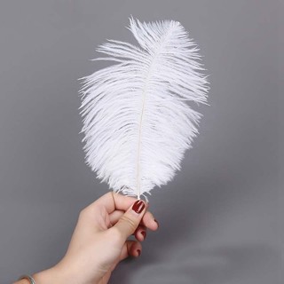 Lông đà điểu trang trí đám cưới, quần áo, mũ, decor chụp ảnh.... QNshop Handmade
