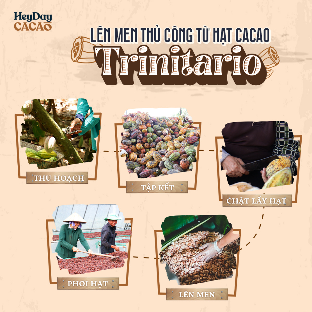 Ảnh Bột Cacao Nguyên Chất 100% dòng Natural - Thuần tự nhiên, Không đường, Không Kiềm Hóa - Túi 50g 2