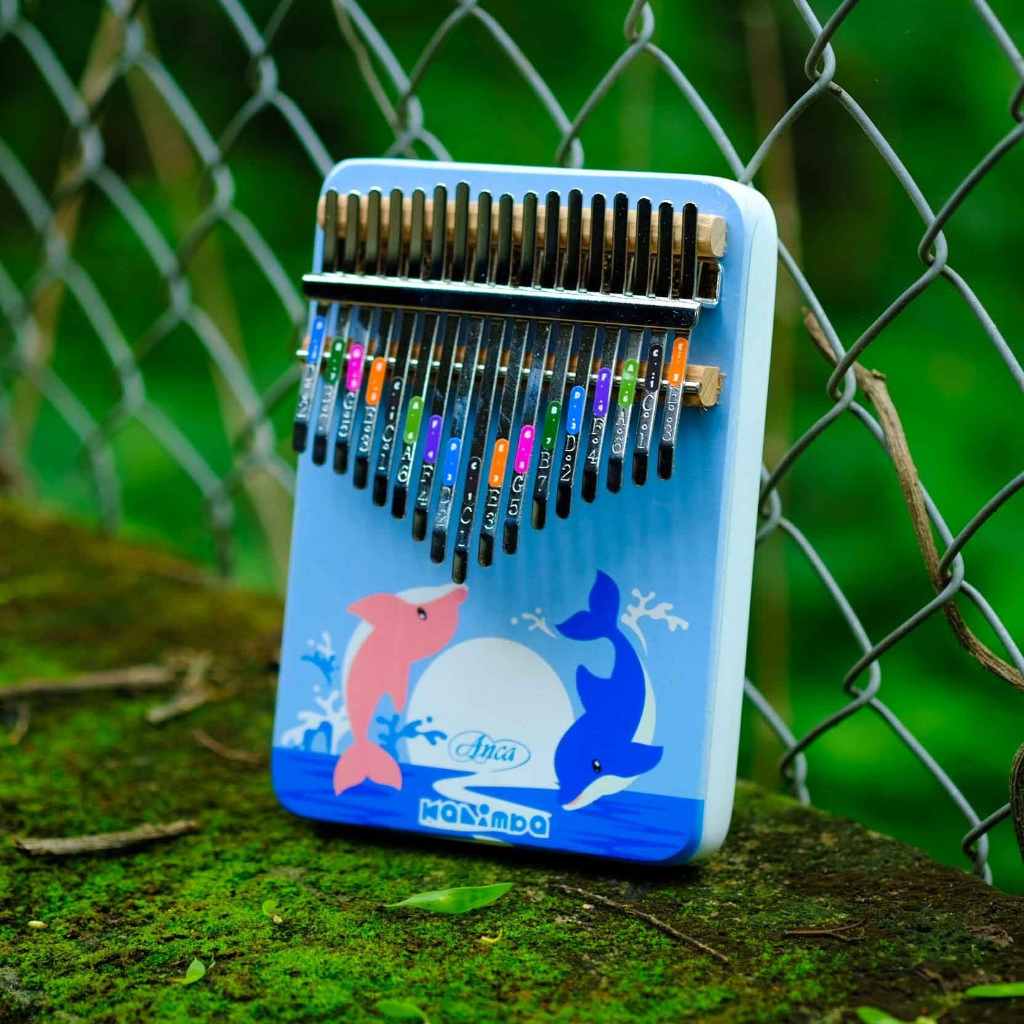Đàn Kalimba 17 Phím, Đàn Kalimba 17 Phím Dễ Thương, Đàn Kalimba Giá Rẻ 17 Phím, Đầy Đủ Phụ Kiện