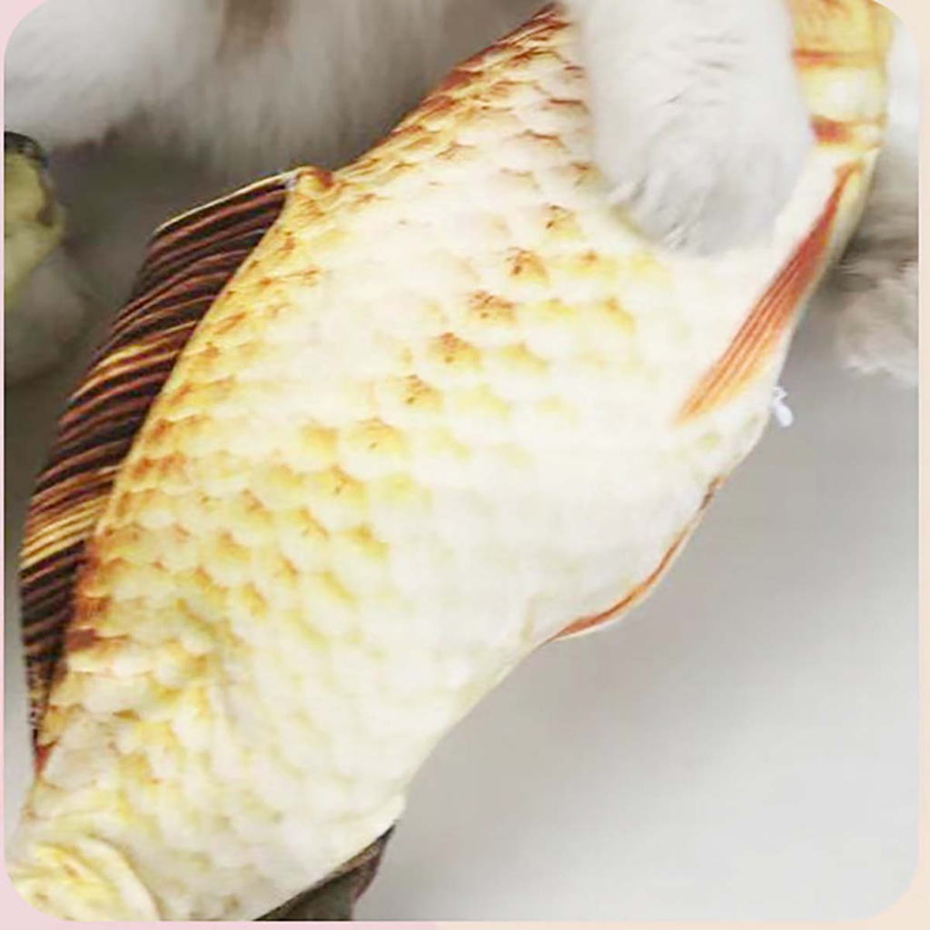 Cá Chép Nhồi Bông Đồ Chơi Cho Mèo Con Cún Chó Cưng Nhỏ Cắn Gặm Ngứa Răng Tự Chơi 2 Đến 3 Tháng Biết Đi Thông Minh Giá Rẻ