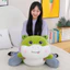 Gấu Bông Khủng Long Hóa Ếch Xanh, Gối Ôm Cho Bé Chất Liệu Cao Cấp, Mềm Mại Dài 55Cm