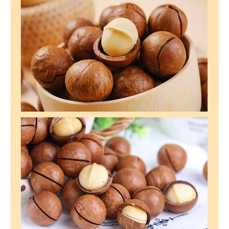 Hạt Macca nứt vỏ hũ 500g, Hạt macca Tây Nguyên sấy nứt vỏ tự nhiên loại vỏ mỏng, size to tự nhiên