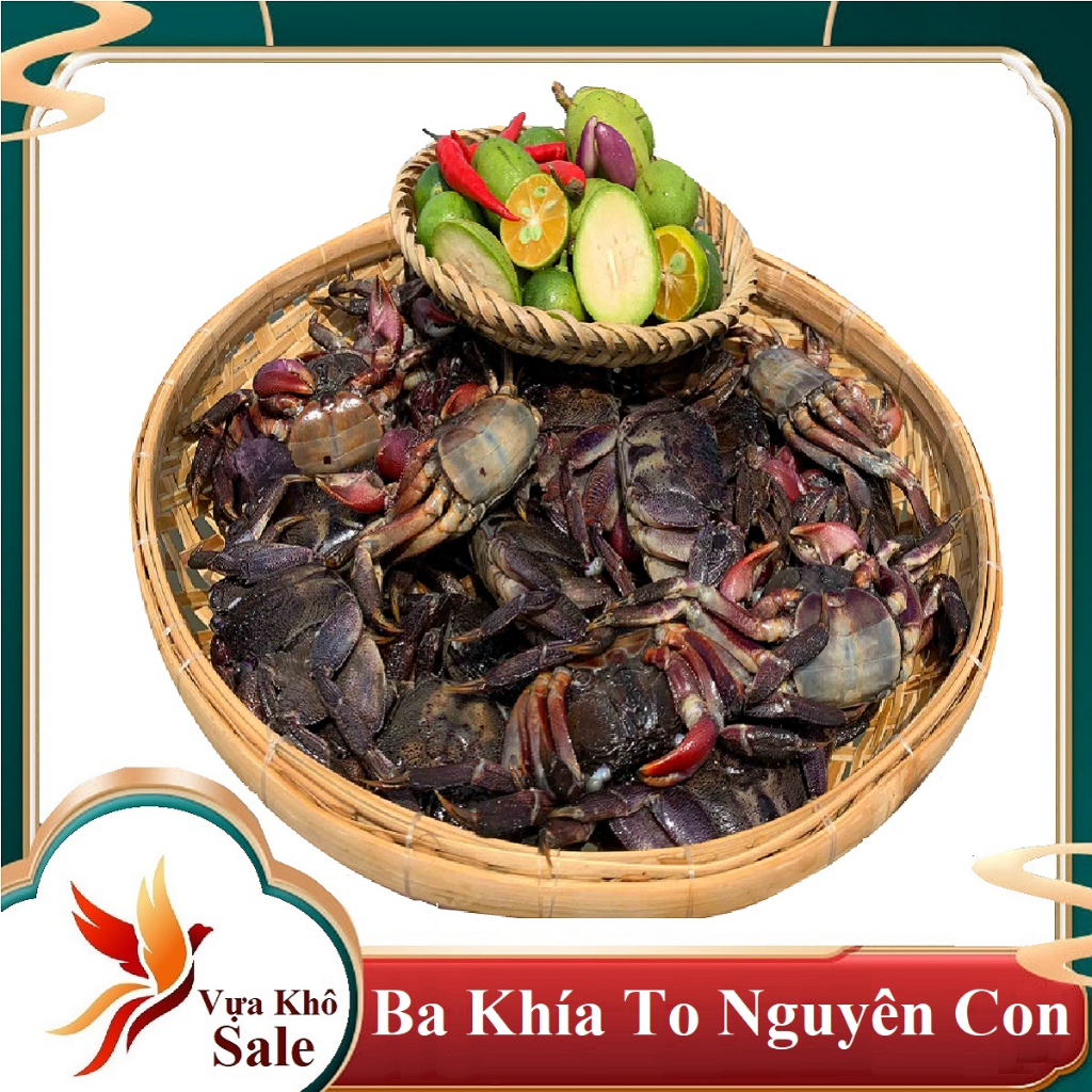 Con ba khía - Giá Tốt, Sale Tháng 08, Freeship 0Đ | Shopee Việt Nam