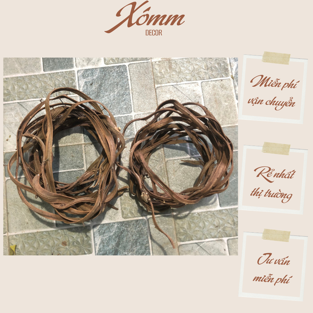 Cuộn dây xoắn rừng tự nhiên (size nhỏ) trang trí decor, làm cây leo giả ...