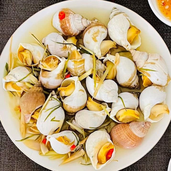 Giá sỉ - 1Kg Ốc Bulot Pháp (Sofrimar) - Q12 | Shopee Việt Nam