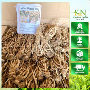 Sâm đương quy khô(Sâm quy sấy khô nguyên củ to ,thơm phức)nấu canh ,hãm trà,ngâm tửu cực chất