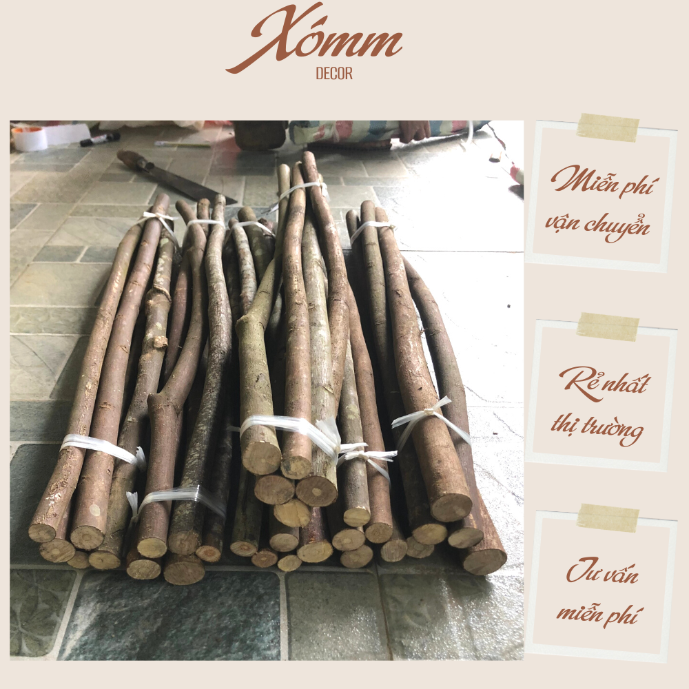 Cành củi khô (Bó 5 cành ) Decor trang trí nhà cửa,noel, lò sưởi, Đường ...