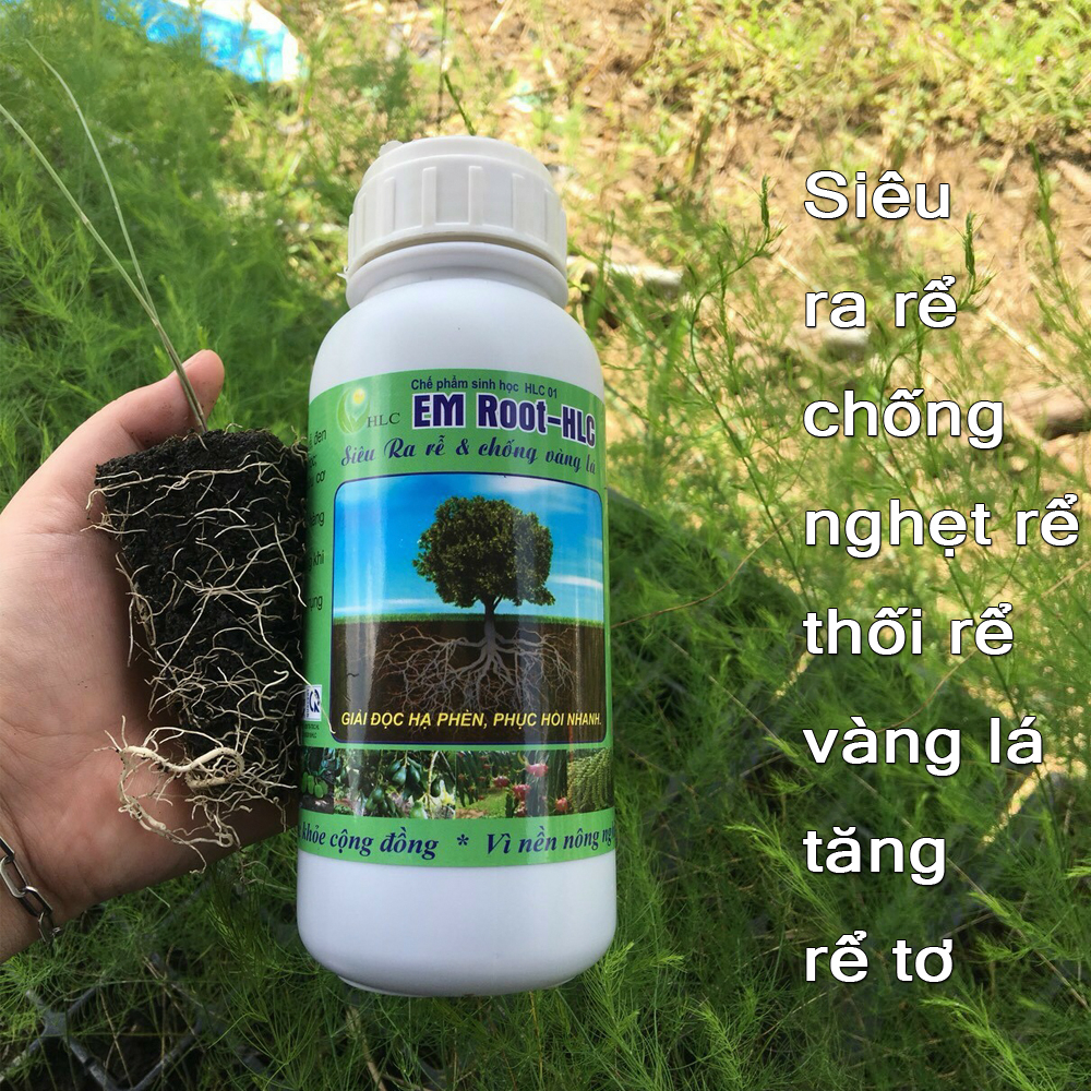 Siêu ra rễ giúp cây bắn rễ tơ chống nghẹt rễ, thối làm cây chậm phát ...