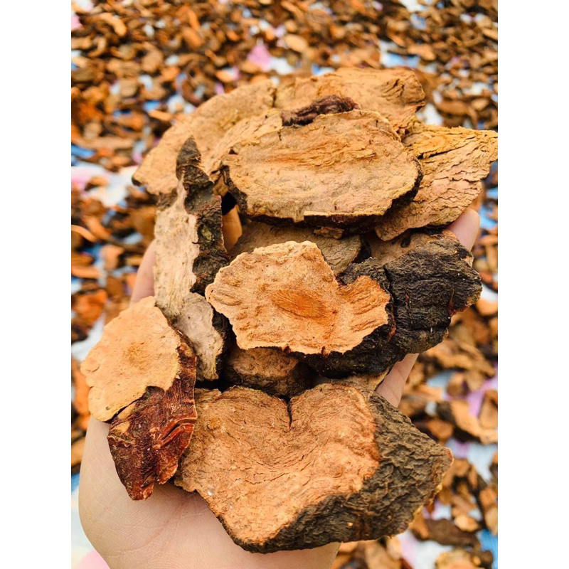 Củ Hà Thủ Ô Đỏ Khô 1kg Thái Miếng [Chuẩn Rừng], Hà Thủ Ô Ngâm Riệu | Ngăn Tóc Bạc Sớm, Bồi Bổ Sức Khỏe