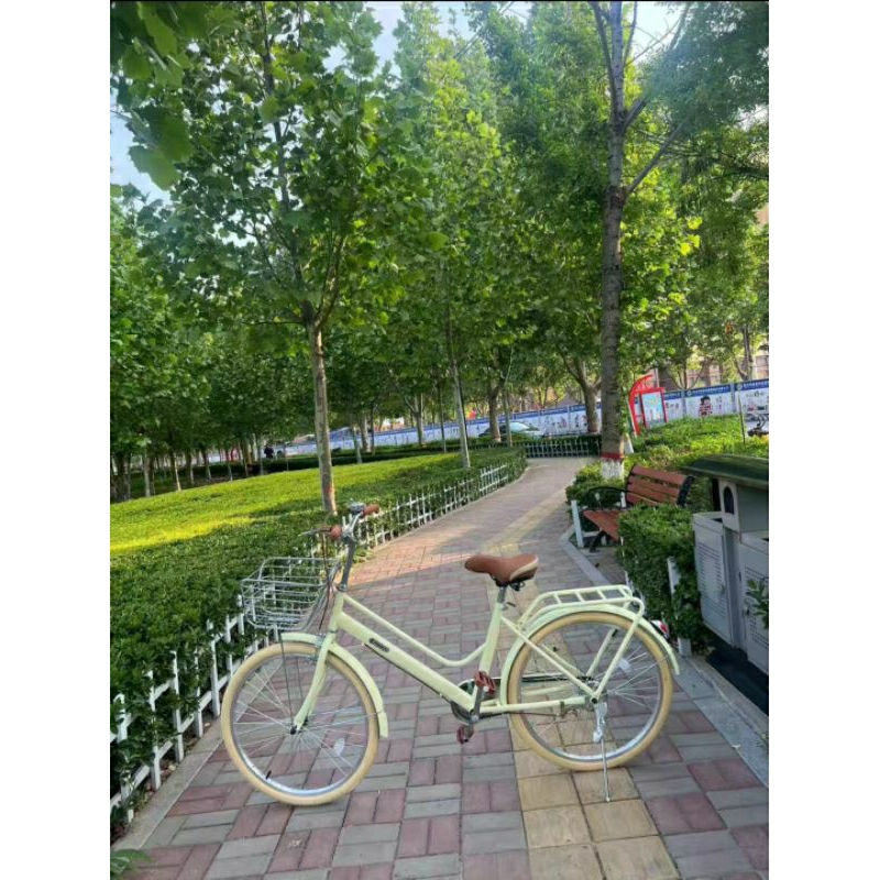 Xe Đạp Mini Nữ Classic S420 Size 24 , 26inh