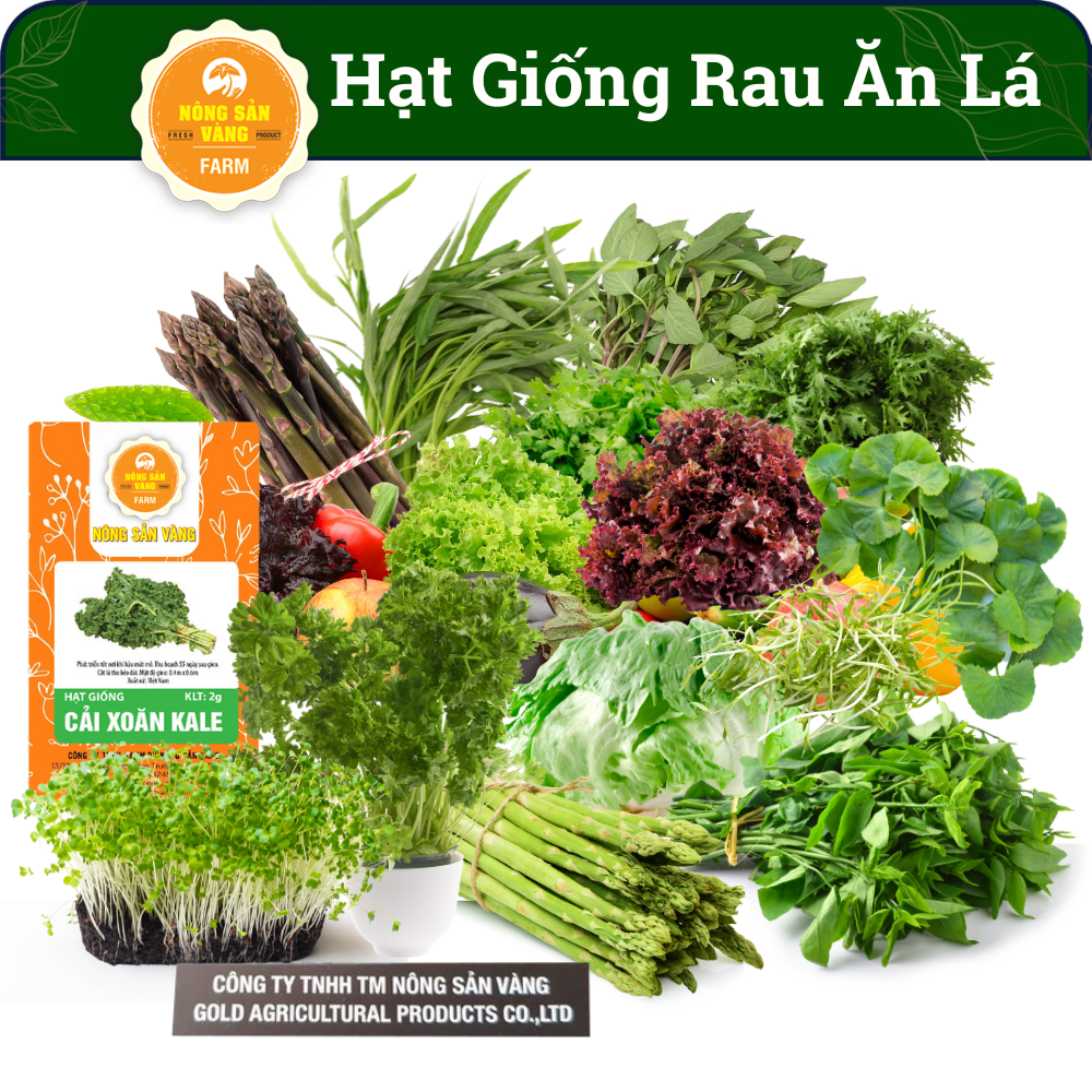 Tổng Hợp Các Loại Hạt giống Rau Ăn Lá, Chịu Nhiệt, Trồng Quanh Năm, Dễ ...