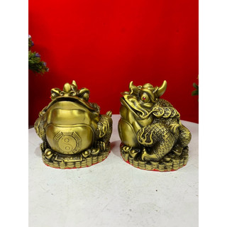Cóc Thiềm Thừ 1 Sừng Phong Thuỷ  Lộc bằng đồng