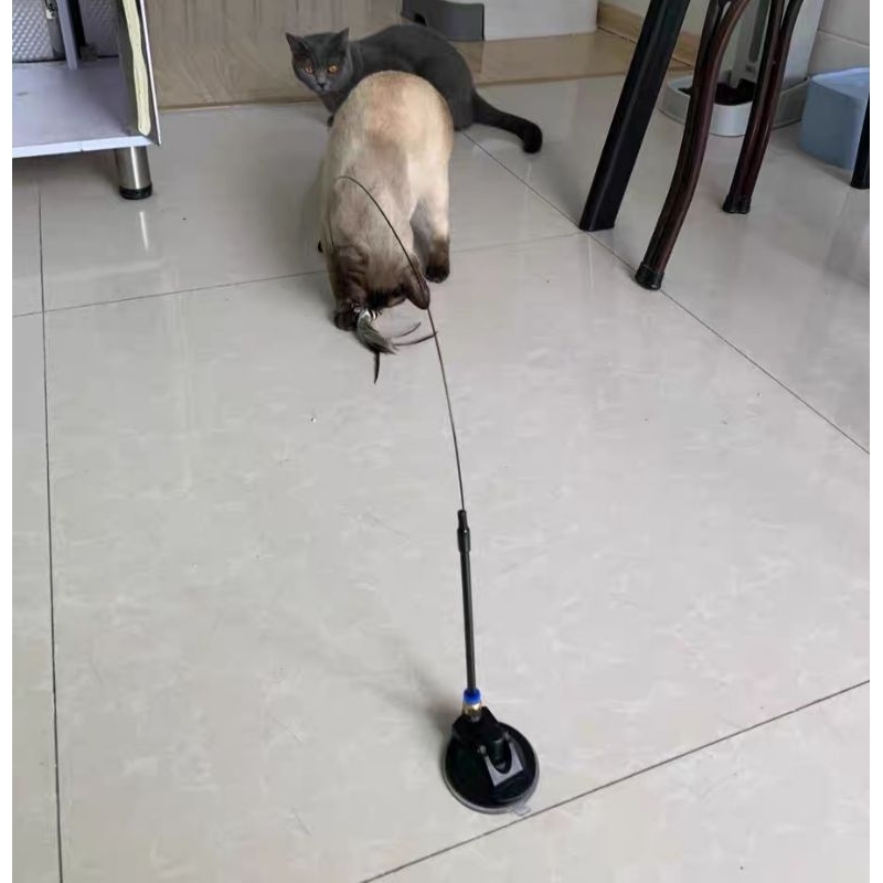 Cần Câu Kèm Đế Hút Cho Mèo Tự Chơi