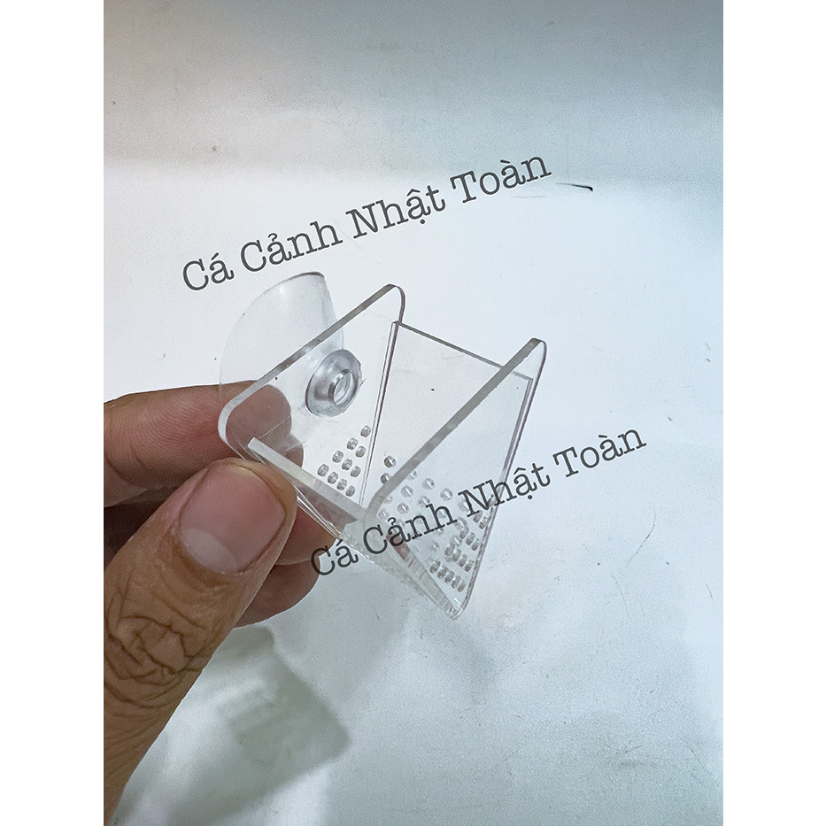 CỐC ĐỰNG TRÙNG CHỈ CHO CÁ ĂN ACRYLIC EBI-VN ̣̣̣̣̣(HÌNH TAM GIÁC)