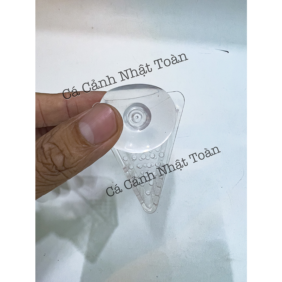 CỐC ĐỰNG TRÙNG CHỈ CHO CÁ ĂN ACRYLIC EBI-VN ̣̣̣̣̣(HÌNH TAM GIÁC)
