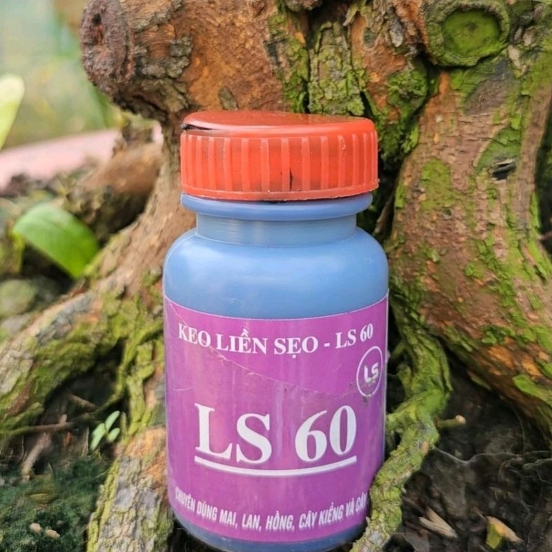 Keo Liền Sẹo LS 60 | Shopee Việt Nam