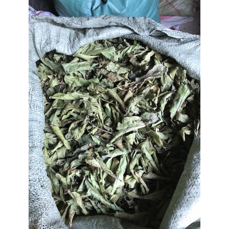 xạ đen hoà bình khô