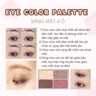 Bảng Phấn Mắt Daisy Doll Nhật Bản Siêu Bền Màu Với 4 Màu Trang Điểm Đa Chức Năng Phấn Má Hồng Phấn Bắt Sáng 5.1g