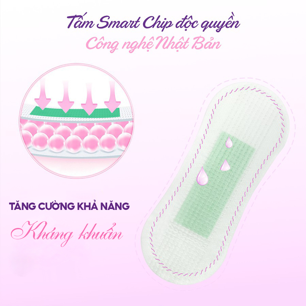 Ảnh Băng vệ sinh thảo dược D&C Doctor Care hàng ngày 16 cm Combo 6 gói 2