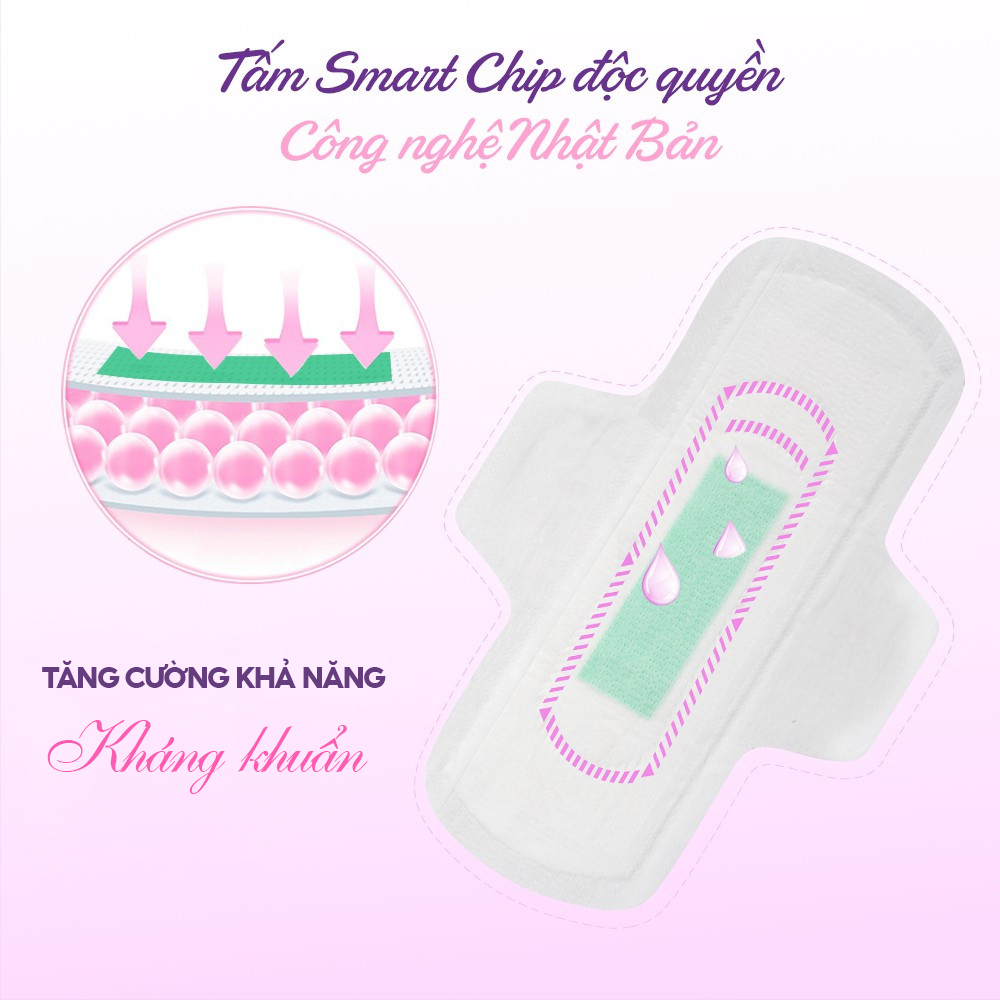 Ảnh Băng vệ sinh thảo dược D&C Doctor Care ban ngày 24cm Combo 2 gói 4