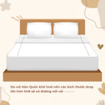 Bộ ga gối LỤA MODAL 1m4 1m6 1m8 2m họa tiết đơn giản, chất liệu tự nhiên mát mịn cao cấp, set drap gối minimalist — ảnh 3