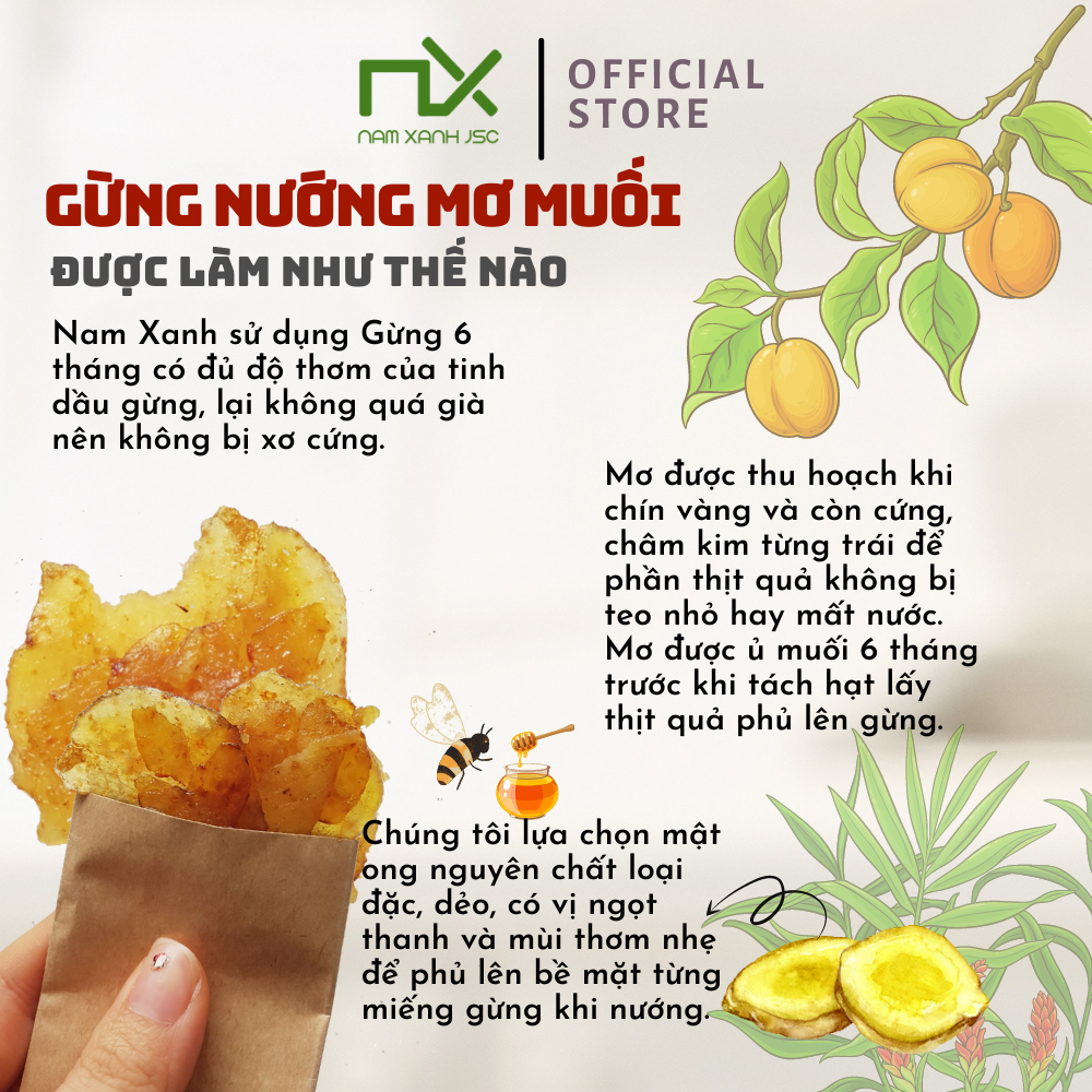 Ảnh Gừng Nướng Mơ Muối Nam Xanh Hộp 80g(100g) 3