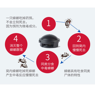 Hộp diệt gián Nhật Bản 12 viên Barracks Cap không mùi hiệu quả tức thì, an toàn khi sử dụng
