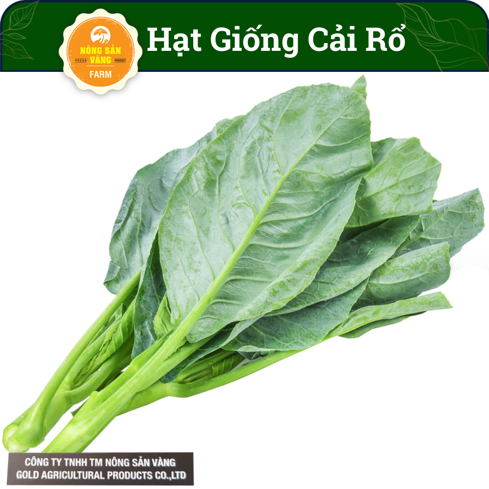 Hạt Giống Cải Làn (Cải Rổ) Rau Ăn Lá, Dễ Ăn, Giàu Dinh Dưỡng, Năng Suất ...