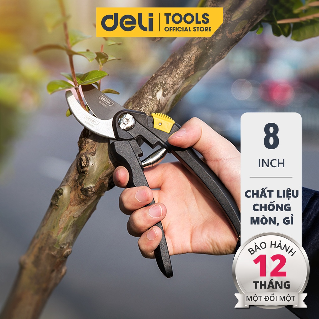 Kéo Cắt Tỉa Cành Cây Deli Chính Hãng 8inch - Lưỡi Thép Sắc Bén, Siêu Bền, Tay Cầm Đệm Cao Su An Toàn, Chắc Chắn DL580201