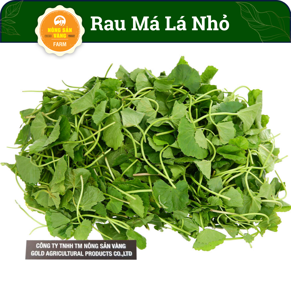 Hạt Giống Rau Má Lá Nhỏ, Năng Suất Cao, Sinh Trưởng Khỏe, Ít Sâu Bệnh ...
