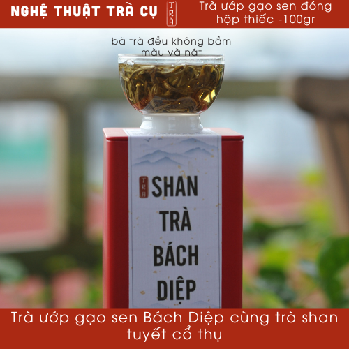 Trà sen bách diệp ướp cùng trà shan tuyết cổ thụ đóng hộp thiếc 100gr