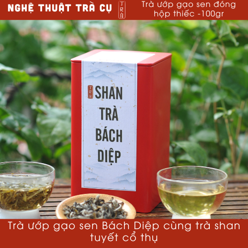 [Thư Vương Trà] Trà gạo sen bách diệp ủ shan tuyết cổ thụ đóng gói tiện lợi 10gr làm quà tặng