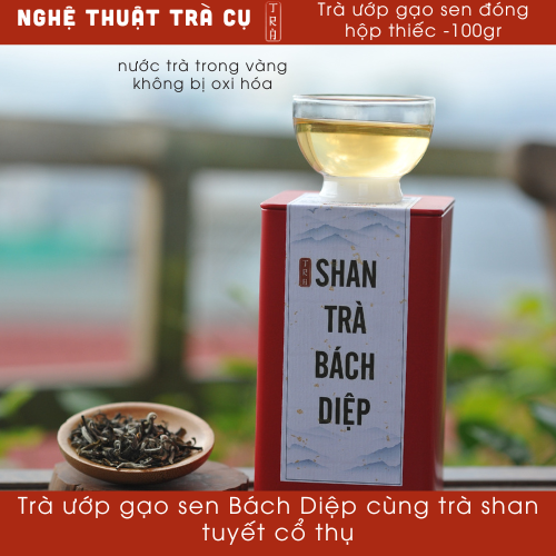 [Thư Vương Trà] Trà gạo sen bách diệp ủ shan tuyết cổ thụ đóng gói tiện lợi 10gr làm quà tặng