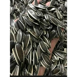 Hạt Hướng Dương Rang Tay Loại 1 Đóng Túi Zip