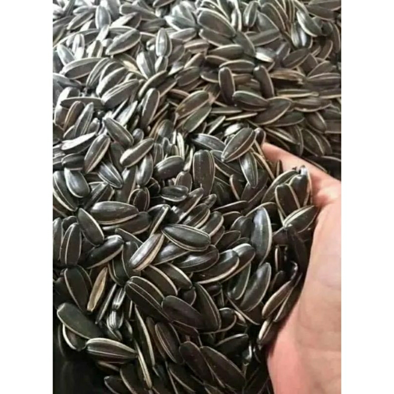 (500gr) Hạt Hướng Dương Rang Tay Loại 1 Đóng Túi Zip