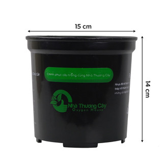 Nhà Thương Cây - CHẬU TRỒNG CÂY THÔNG MINH OH-ĐEN