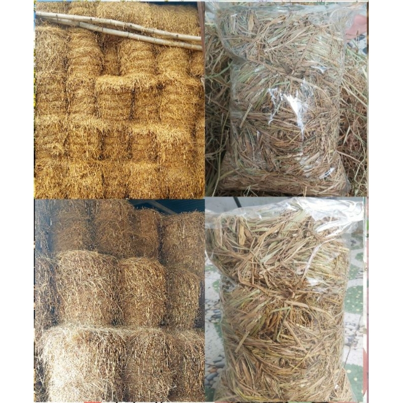 Rơm khô dùng cho trang trí, che phủ đất, trồng nấm 500G | Shopee Việt Nam