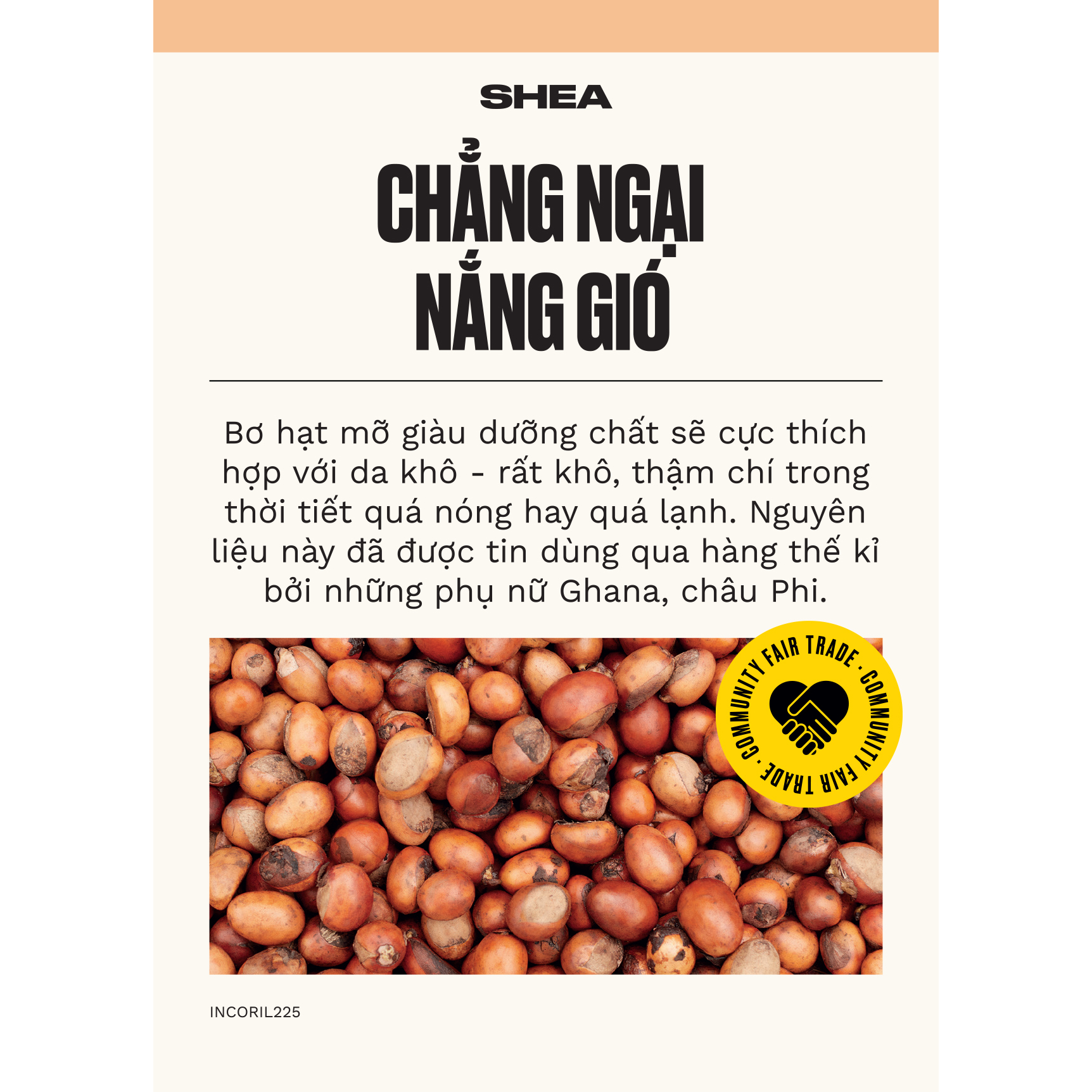 Ảnh Dầu Xả Bơ Hạt Mỡ SHEA BUTTER RICHLY REPLENISHING CONDITIONER The Body Shop 2