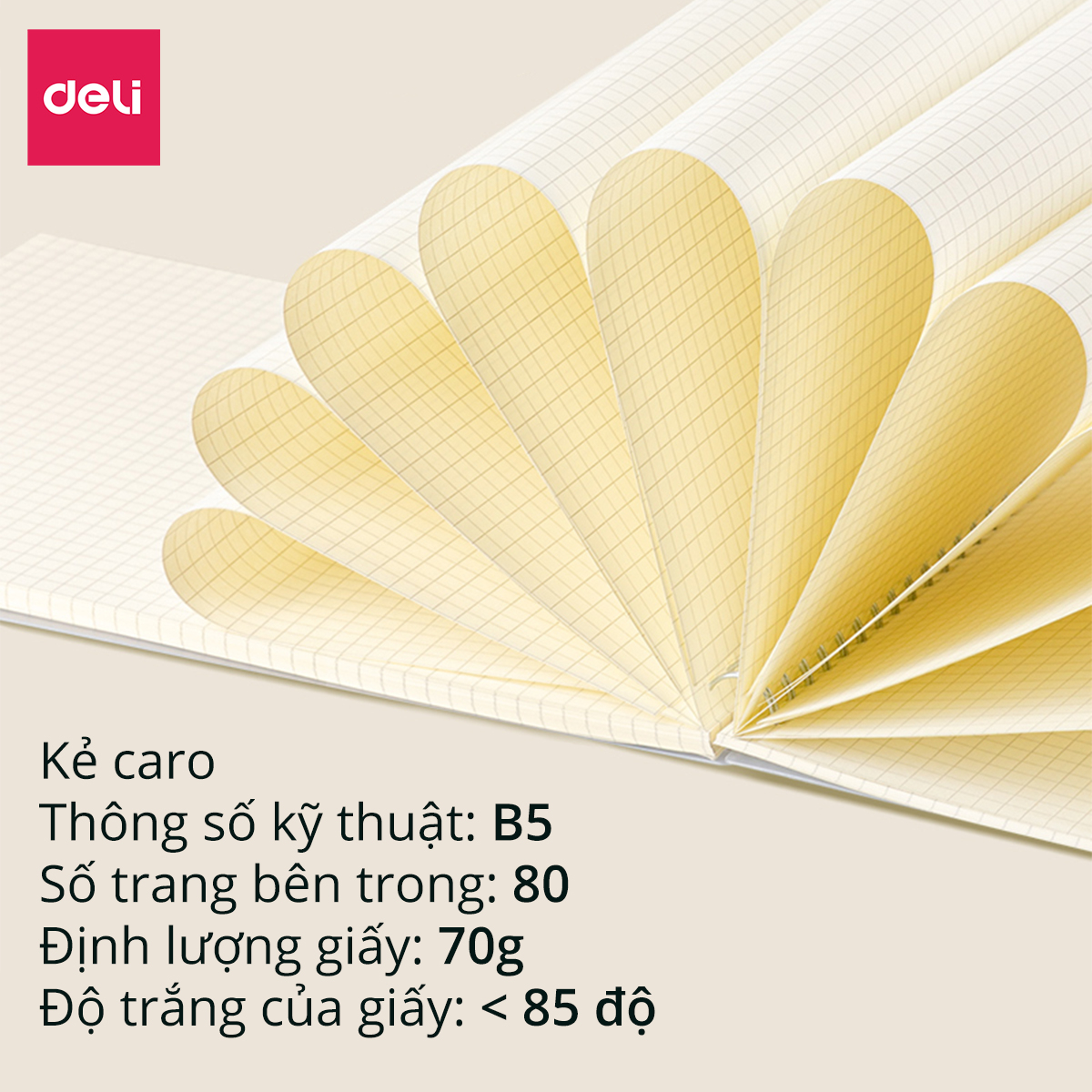 Sổ lò xo kép A5 B5 Deli Sổ bìa trong 160 trang dạng dọc giấy kẻ ngang caro chống lóa Viết callipraphy
